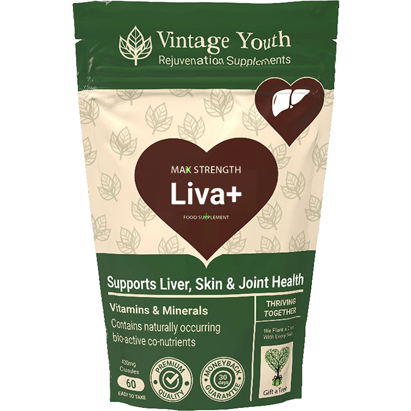 Liva+ liver support supplement capsules – supports healthy liver function, skin and joint health – Vintage Youth 60 capsule pouch