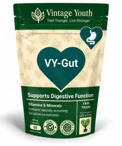 Vintage Youth VY-Gut digestive health supplement in a resealable pouch with a teal heart design and 60 capsules